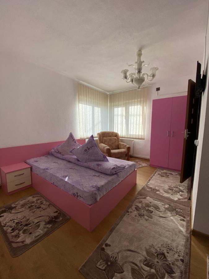 Vila Lilica Μπραν Εξωτερικό φωτογραφία
